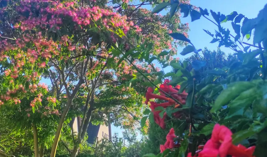 Balla Apartmanhz Sifok