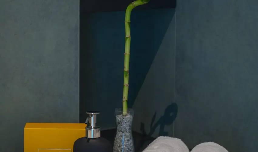 BJ81 Suite Hotel Sifok