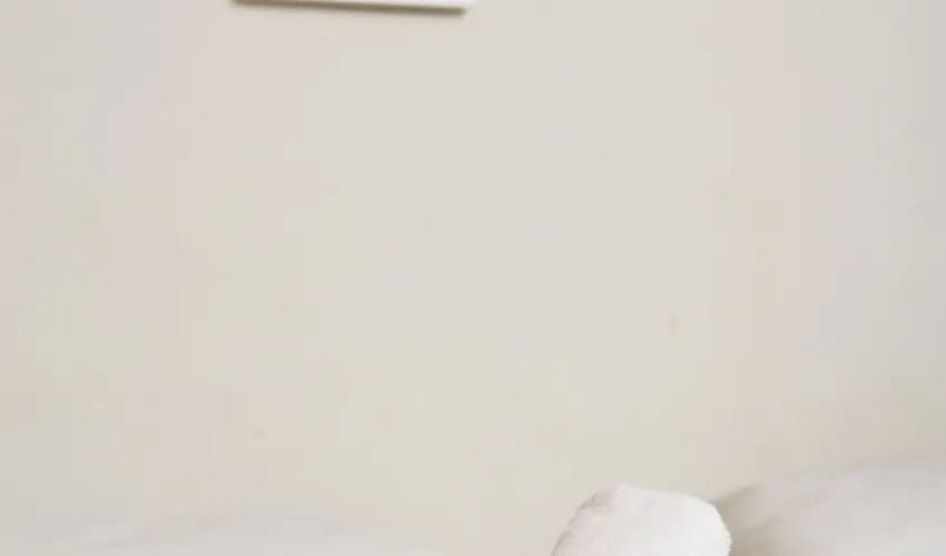 CE Napf�ny Hotel  Si�fok