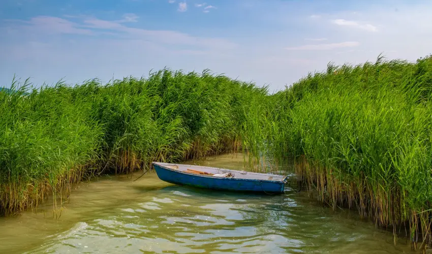 Holiday Resorts Balatonszrsz