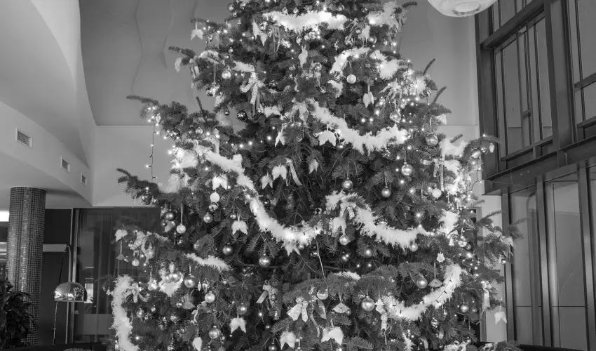 Aura Hotel Balatonf�red