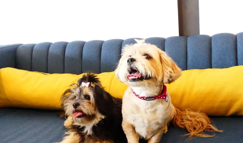 Hotel Yacht Wellness & Business Siófok