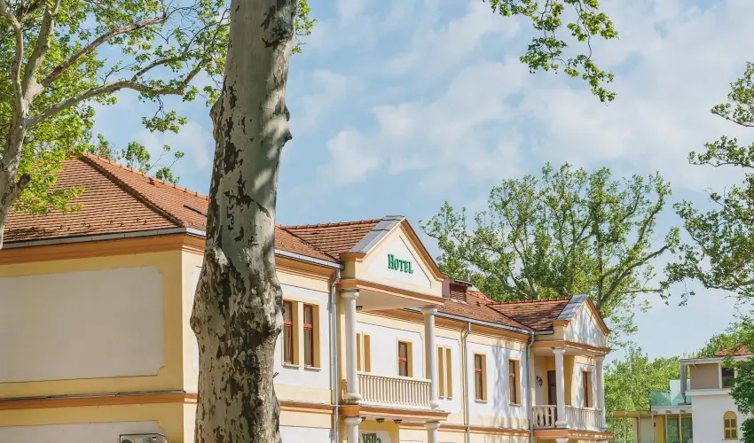 Hotel Anna Villa Balatonfldvr