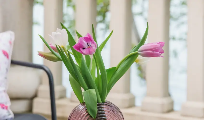 Hotel Anna Villa Balatonfldvr