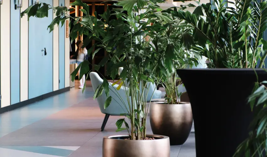 Hunguest Hotel B�l Resort Balatonalm�di