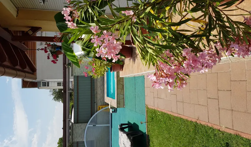 Napsug�r Resort Si�fok