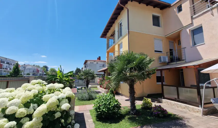 Napsug�r Resort Si�fok