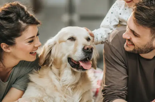 PSZ Hotel Beach F�ldv�r, Balatonf�ldv�r, Si�fok - 17 km