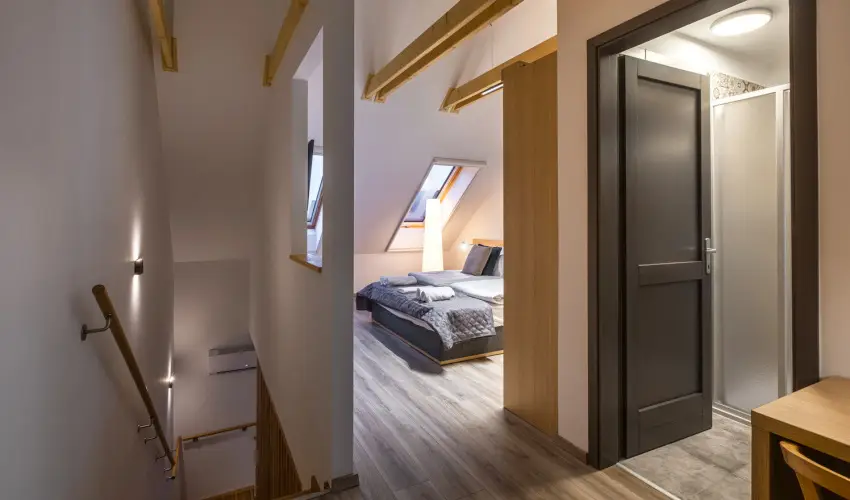 Stadium Home Panzi Barnag