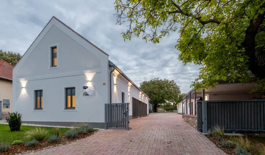 Stadium Home Panzi Barnag