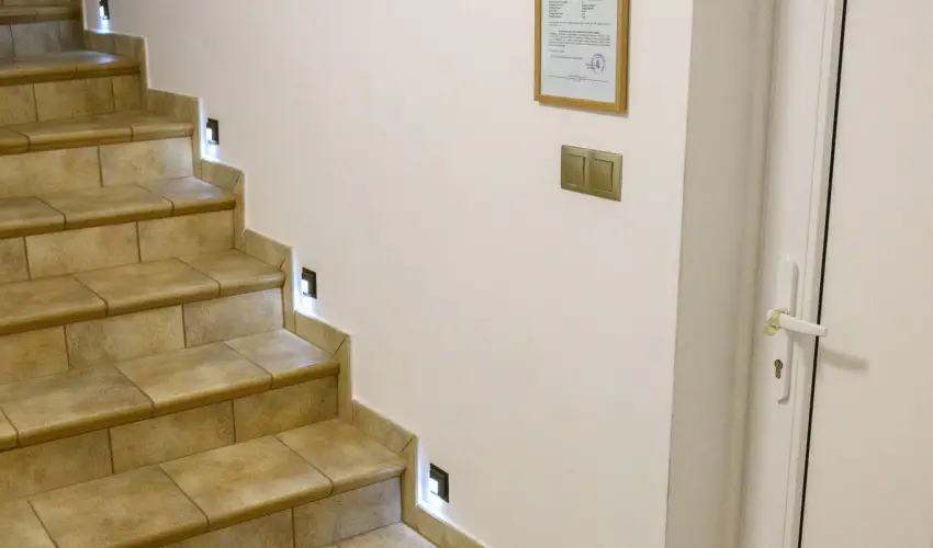 Tulipn Vendghz rvnyes