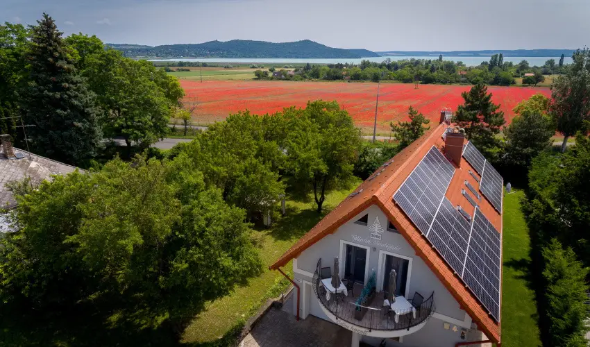 Tulipn Vendghz rvnyes