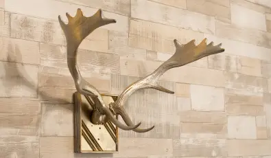 Villa Oliva Boutique Rooms Zamrdi