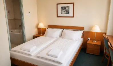 Vil�gos Hotel Balatonvil�gos